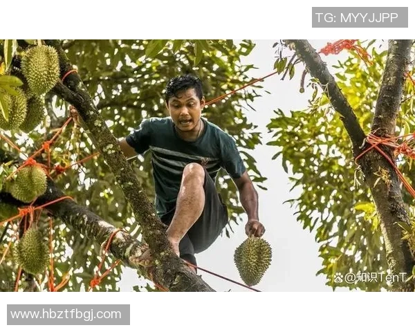 足球明星扔瓶子引发热议视频播放量迅速攀升引发众多讨论