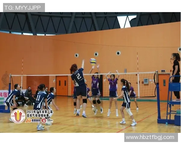 深圳排球队在全国排球配合排行榜中荣获第五名的佳绩分析